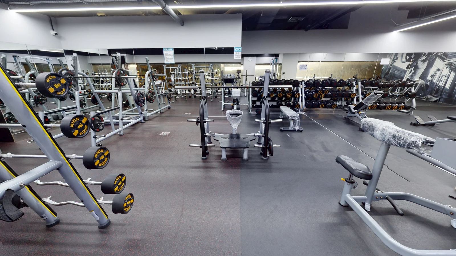Free weights area